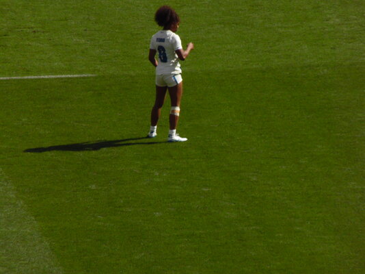SAM_2549.JPG