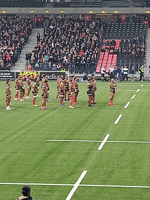 IMG_20211113_161252.jpg